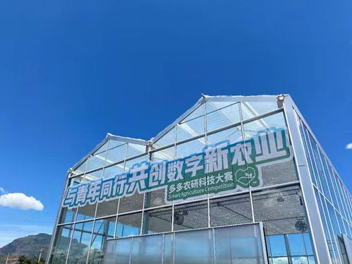 2024中國農(nóng)產(chǎn)品電商發(fā)展報(bào)告 拼多多以人與技術(shù)雙輪驅(qū)動，培育新產(chǎn)品與技術(shù)開發(fā)